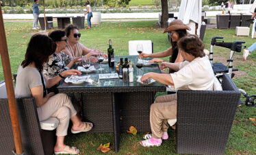 Constantia Wineries + Kirstenbosch Gardens Private Tour
