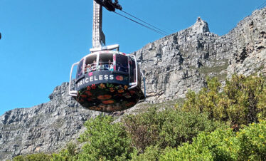 Shared: Table Mountain Ticket + Visit to the Wineries