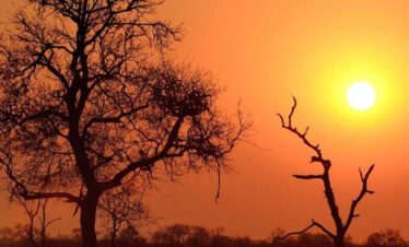 Cosmopolitan Cape Town and Greater Kruger Safari