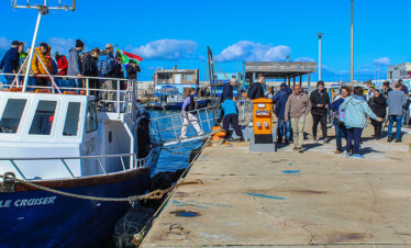 Land Based Whale Watching + Wine Tasting Adventure from Cape Town to Hermanus