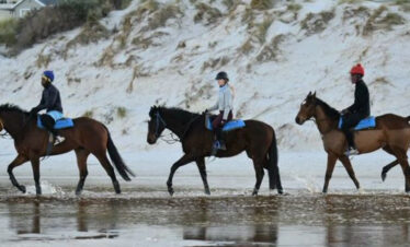 Noordhoek Beach Horse Ride + Chapman’s Peak BBQ Experience